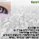 루테인 눈 건강