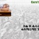 영양 성분