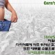 다이어트 효과