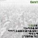 영양 정보