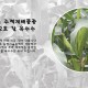 오직 미백옥수수